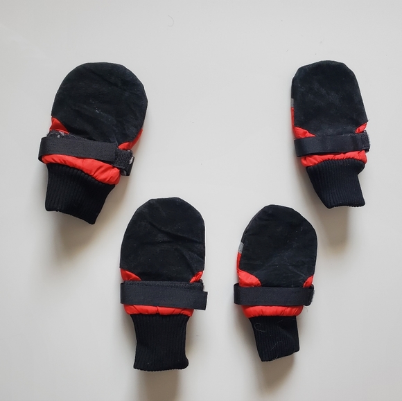 Dog boots 🐕👢 - Picture 3 of 3